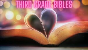 Third Grade Bibles
