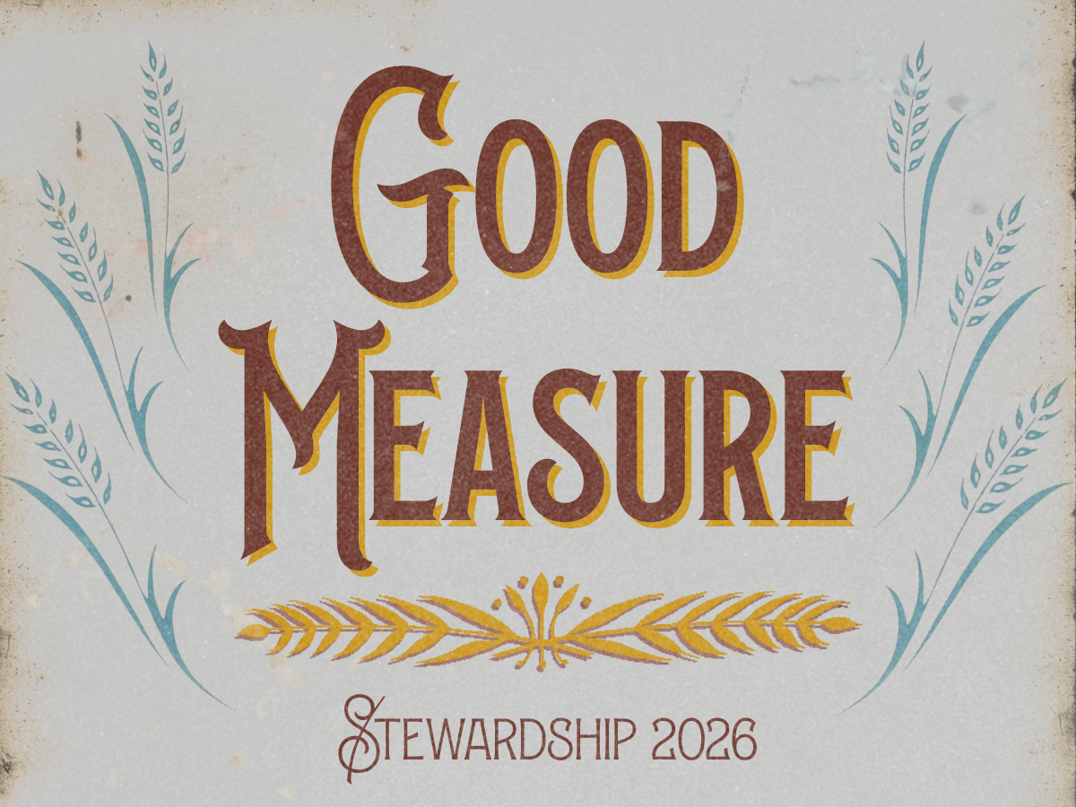 Stewardship 2026