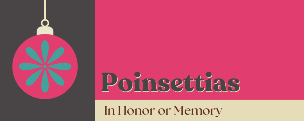 Poinsettias in honor or memory